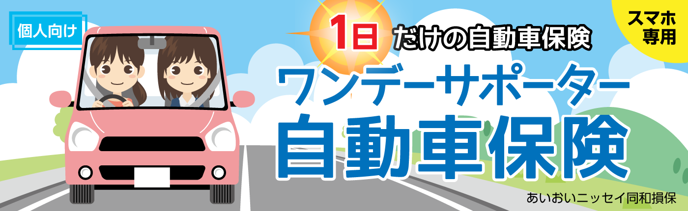 車を借りる　自動車保険